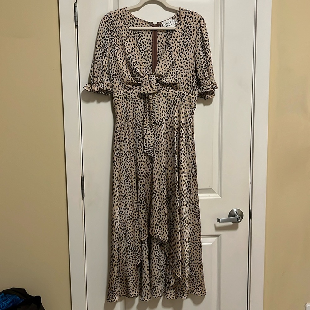 Hello Molly Dress